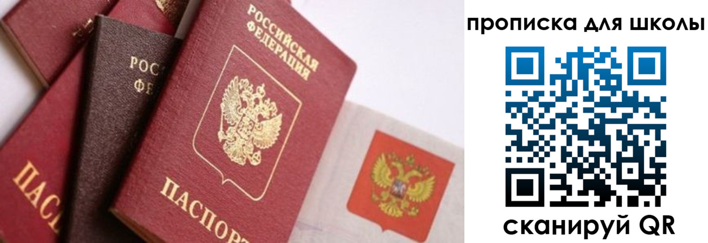 прописка поиск в Голицыно